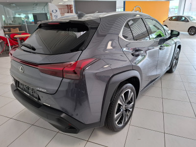 Lexus UX Gebrauchtwagen