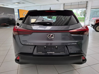 Lexus UX Gebrauchtwagen