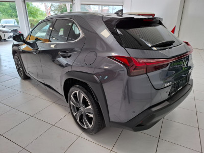 Lexus UX Gebrauchtwagen