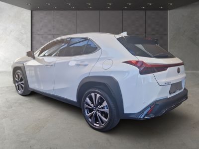 Lexus UX Neuwagen