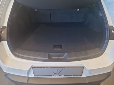 Lexus UX Neuwagen