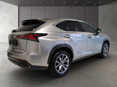 Lexus NX Gebrauchtwagen