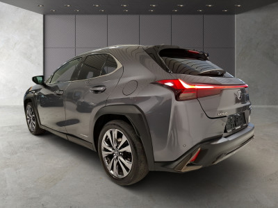 Lexus UX Gebrauchtwagen