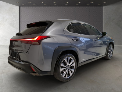 Lexus UX Gebrauchtwagen