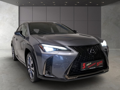 Lexus UX Gebrauchtwagen