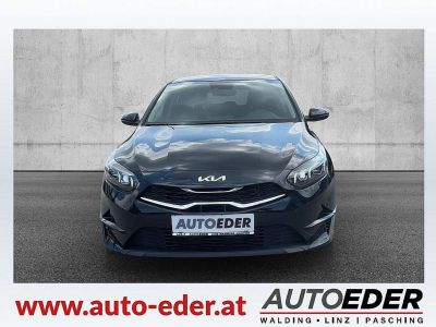 KIA Ceed Vorführwagen