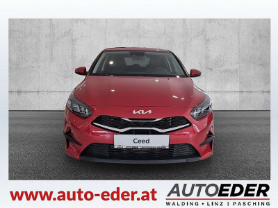 KIA Ceed Vorführwagen