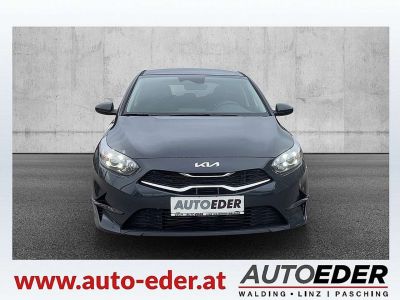 KIA Ceed Vorführwagen