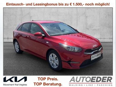 KIA Ceed Neuwagen