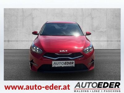 KIA Ceed Neuwagen