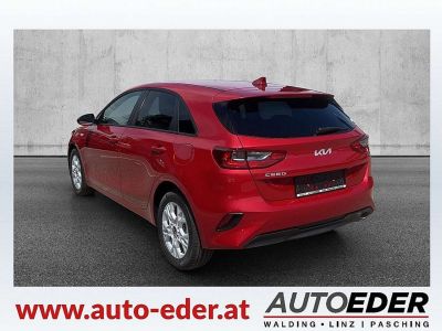 KIA Ceed Neuwagen