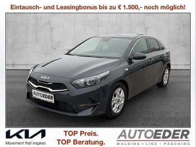 KIA Ceed Vorführwagen