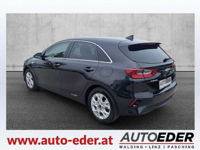 KIA Ceed Vorführwagen