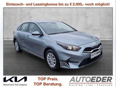 KIA Ceed Vorführwagen