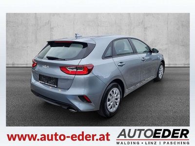 KIA Ceed Vorführwagen