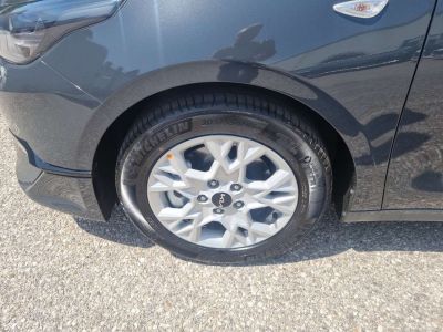 KIA Ceed Vorführwagen