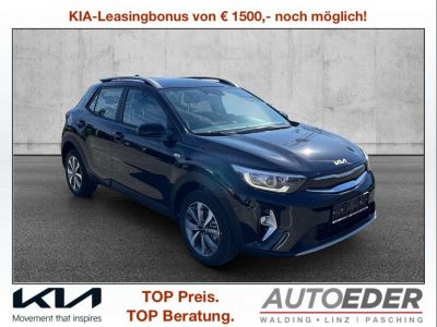 KIA Stonic Neuwagen