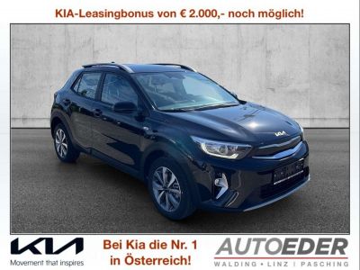 KIA Stonic Neuwagen