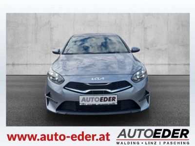 KIA Ceed Neuwagen