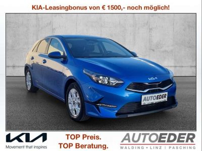 KIA Ceed Vorführwagen