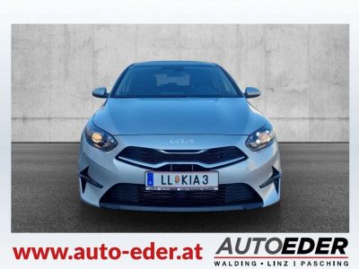 KIA Ceed Vorführwagen