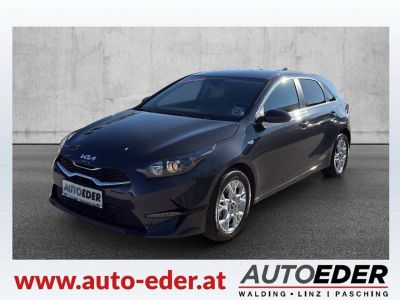 KIA Ceed Vorführwagen