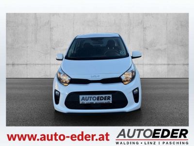 KIA Picanto Gebrauchtwagen KIA Picanto Gebrauchtwagen