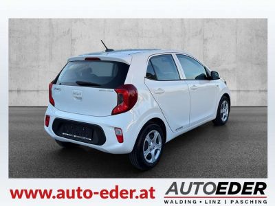 KIA Picanto Gebrauchtwagen KIA Picanto Gebrauchtwagen