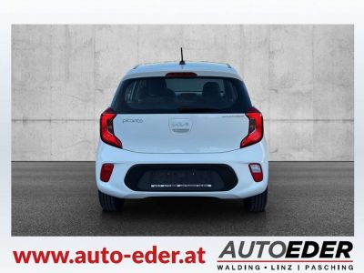 KIA Picanto Gebrauchtwagen KIA Picanto Gebrauchtwagen