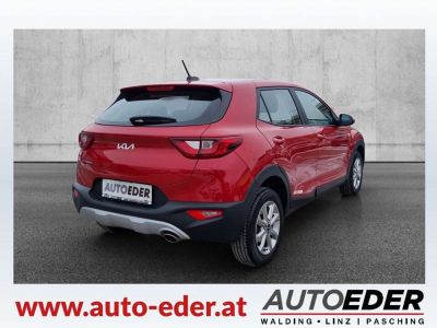 KIA Stonic Gebrauchtwagen