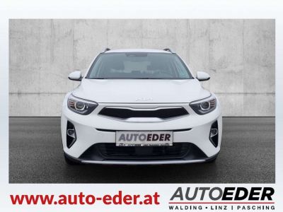 KIA Stonic Gebrauchtwagen