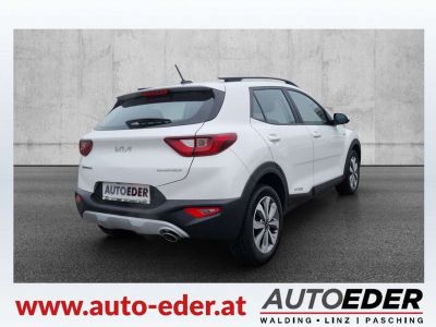 KIA Stonic Gebrauchtwagen