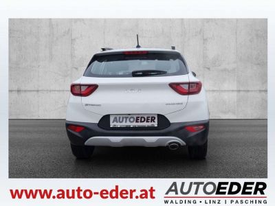 KIA Stonic Gebrauchtwagen