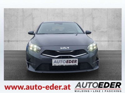 KIA Ceed Gebrauchtwagen