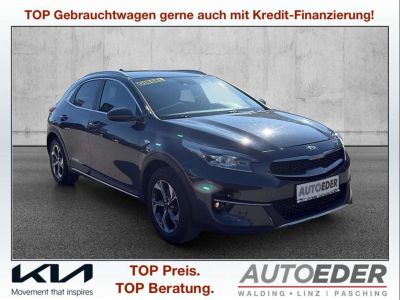 KIA XCeed Gebrauchtwagen KIA XCeed Gebrauchtwagen