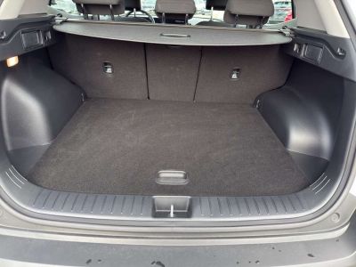 KIA Sportage Vorführwagen KIA Sportage Vorführwagen
