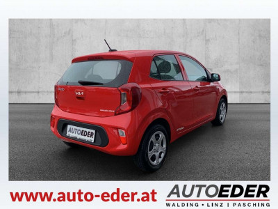 KIA Picanto Gebrauchtwagen KIA Picanto Gebrauchtwagen