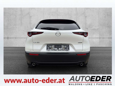Mazda CX-30 Gebrauchtwagen Mazda CX-30 Gebrauchtwagen
