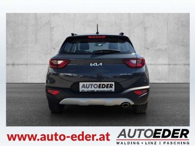 KIA Stonic Gebrauchtwagen