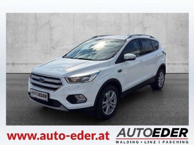Ford Kuga Gebrauchtwagen