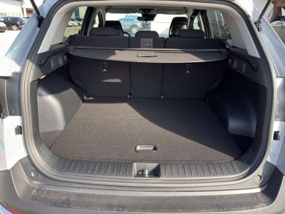 KIA Sportage Neuwagen KIA Sportage Neuwagen