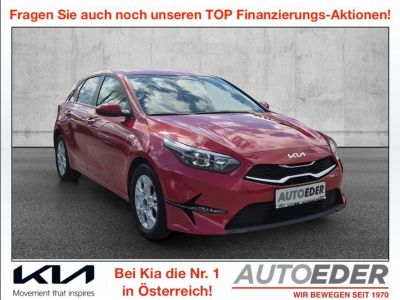 KIA Ceed Gebrauchtwagen