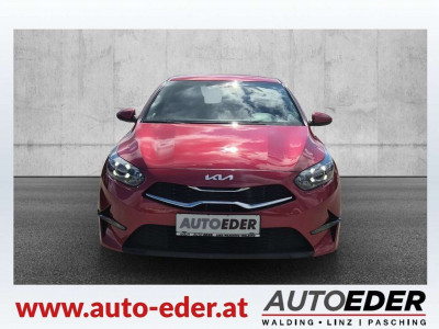 KIA Ceed Gebrauchtwagen KIA Ceed Gebrauchtwagen