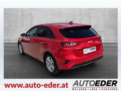 KIA Ceed Gebrauchtwagen KIA Ceed Gebrauchtwagen