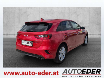 KIA Ceed Gebrauchtwagen KIA Ceed Gebrauchtwagen