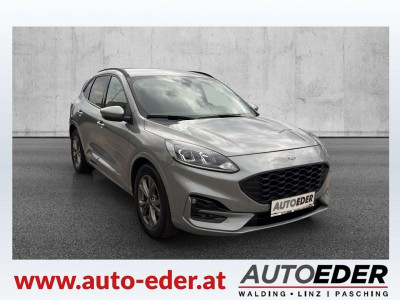 Ford Kuga Gebrauchtwagen Ford Kuga Gebrauchtwagen