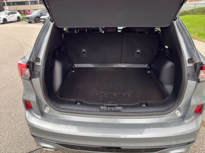 Ford Kuga Gebrauchtwagen Ford Kuga Gebrauchtwagen