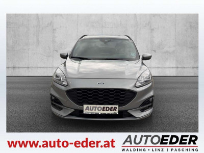 Ford Kuga Gebrauchtwagen Ford Kuga Gebrauchtwagen