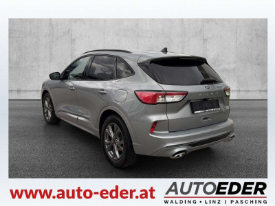 Ford Kuga Gebrauchtwagen Ford Kuga Gebrauchtwagen