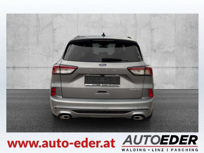 Ford Kuga Gebrauchtwagen Ford Kuga Gebrauchtwagen